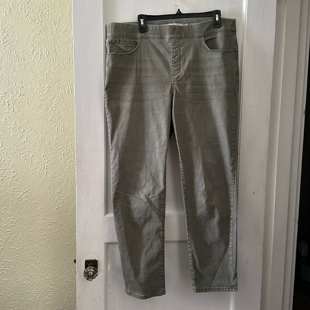 Soft Surroundings Green Pull On Stretch Denim Jegging Pants
